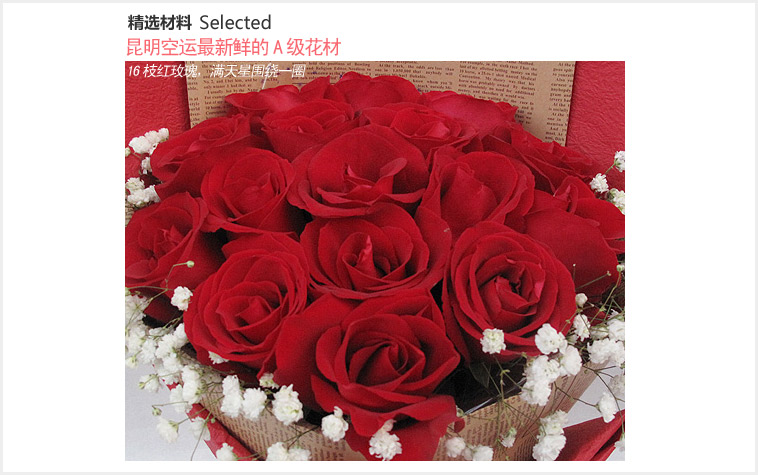 花火:16枝红玫瑰,满天星围绕一圈。_鲜花-中国