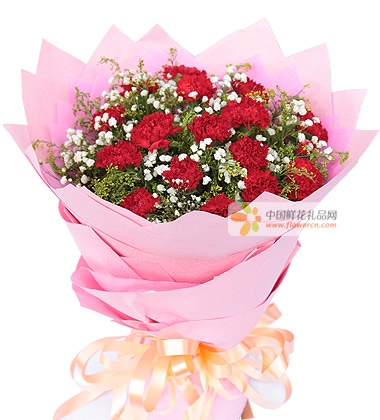 红色康乃馨花语是什么?红色康乃馨代表什么?