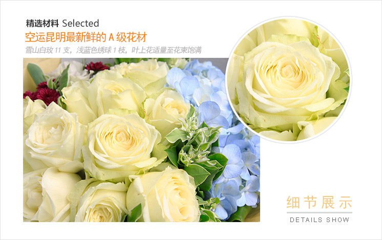 雪域精灵:雪山白玫11支,浅蓝色绣球1枝,叶上花适量至花束饱满_鲜花-中国鲜花礼品网