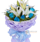�ʻ�/����֤��