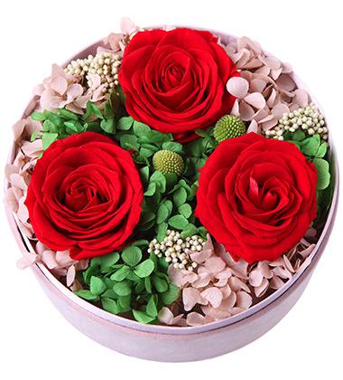 三朵玫瑰代表什么意思?三朵玫瑰的花语是什么