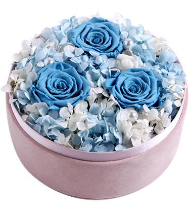 三朵玫瑰代表什么意思?三朵玫瑰的花语是什么