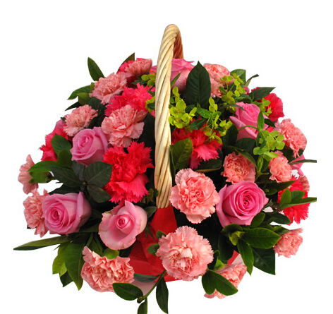 10朵康乃馨的花语?10朵康乃馨代表什么意思?