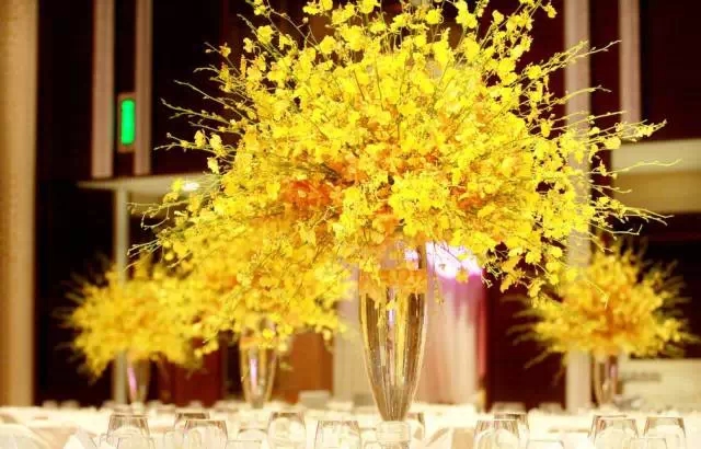 花枝上舞蹈的公主“跳舞兰”，跳舞兰的花语?跳舞兰的养护-中国鲜花礼品网