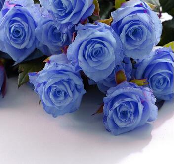 10朵蓝玫瑰的花语, 10朵蓝玫瑰代表什么意思?