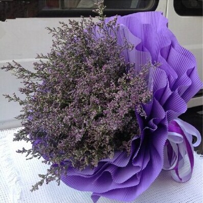 情人草是什么?有什么用途?_花卉知识-中国鲜花