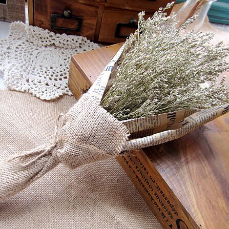 情人草是什么?有什么用途?_花卉知识-中国鲜花