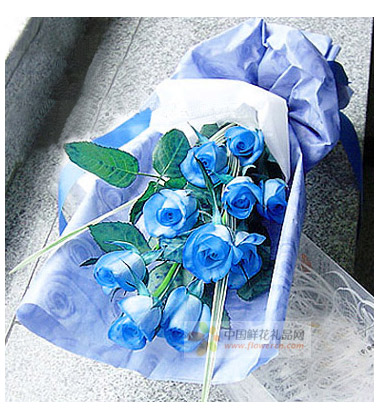 蓝色妖姬的花语是什么?蓝色妖姬的寓意,蓝色