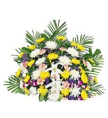 丧葬哀思鲜花(按鲜花用途选购)-中国鲜花礼品网