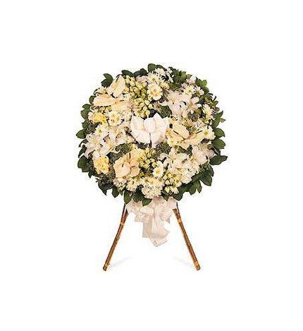 无限哀思:8枝绿掌,8枝百合,白太阳花,黄色和白